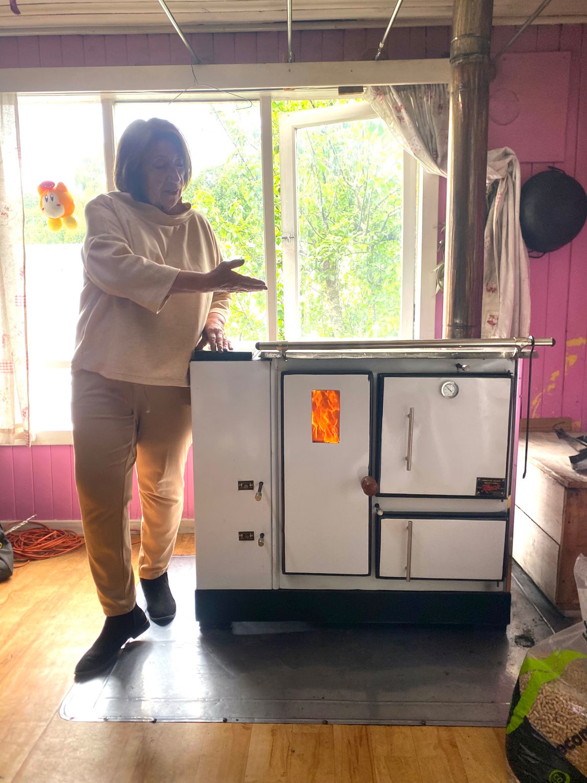 Cocina a pellet Sin electricidad - Modelo Ecomix mixta pellet o leña - Imagen 15