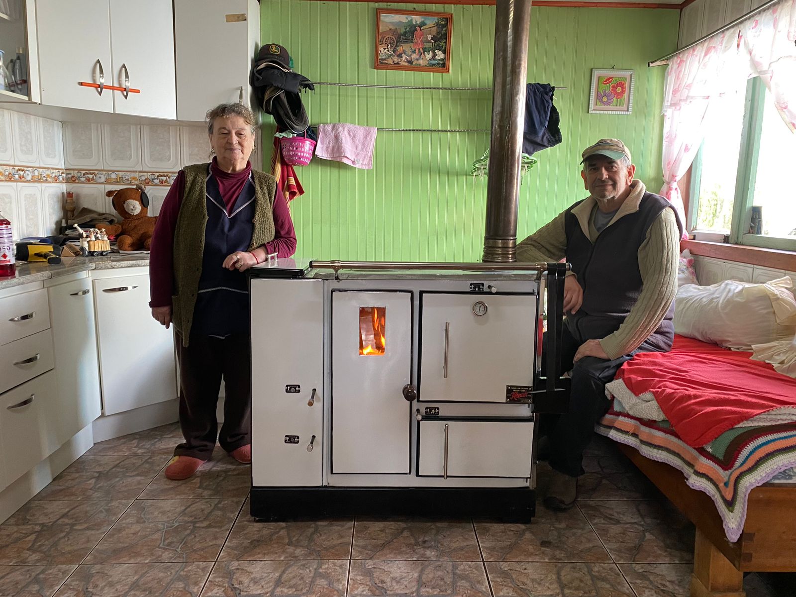 Cocina a pellet Sin electricidad - Modelo Ecomix mixta pellet o leña - Imagen 2